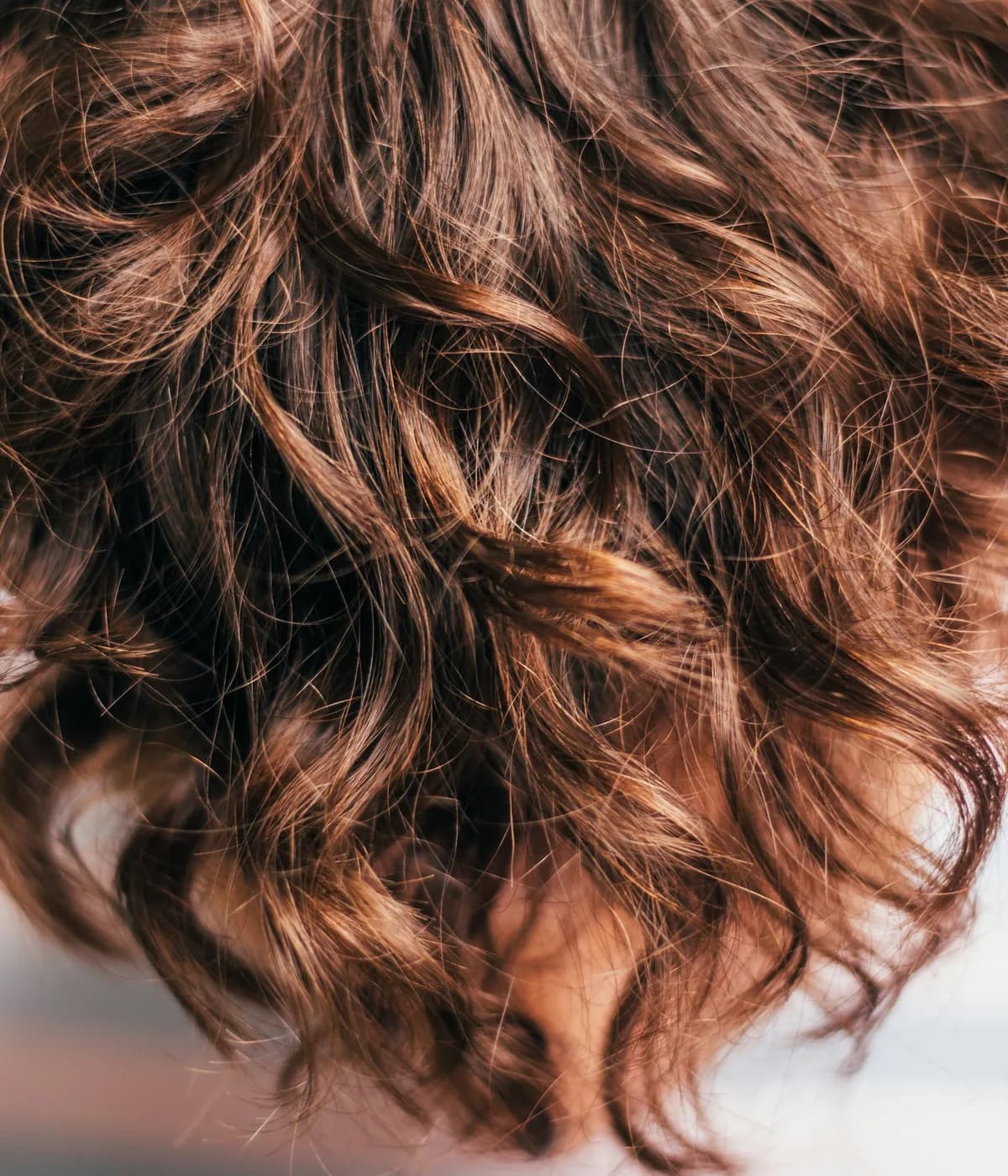 A close-up of thick, healthy curly hair